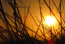 Послатка од сѐ