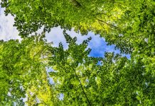 Human and Divine justice