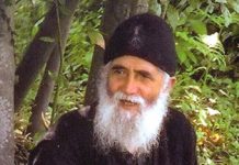 Closure of the heart