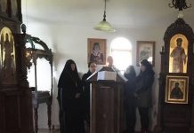 Holy Divine Liturgy in the St. Prohor Pchinski Monastery, Donnybrook