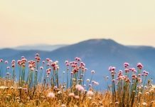 Стекнување и губење