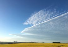 Знак на здравата душа