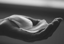 Чудесен духовен закон