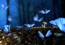 Какви сме во срцето, такви сме и пред лицето на Господ