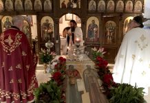 Празнична вечерна богослужба и Света Божествена Литургија во манастирот Донибрук