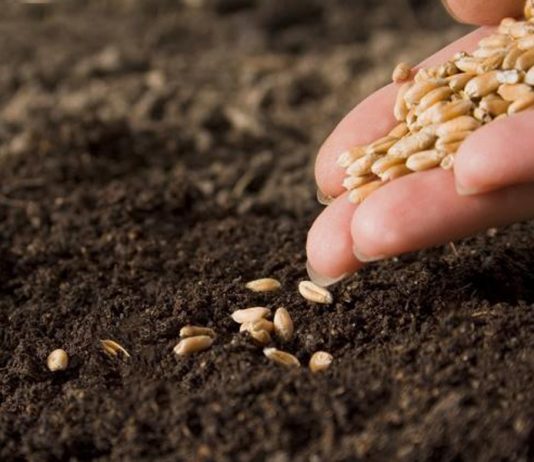 Дванаесет параболи изговорени од Христос за Царството Небесно