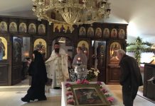 Света Литургија во манастирот Свети Прохор Пчински во Донибрук