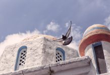 Делото на Божјата волја и Божјата намера