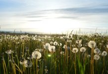 Благодарност за незаслуженото