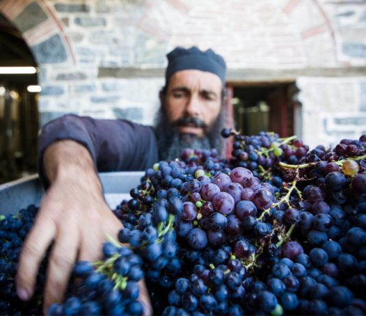 Грозје на љубовта