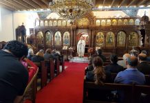 Света Литургија во црквата Света Петка во Мил Парк (19 Недела по Педесетница)