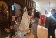 Света Литургија во манастирот Свети Прохор Пчински во Донибрук (23-та Недела по Педесетница)