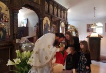 Божик во манастирот Свети Прохор Пчински во Донибрук