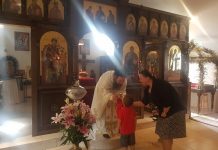 Света Литургија во манастирот Свети Прохор Пчински во Донибрук (35 Недела по Педесетница)