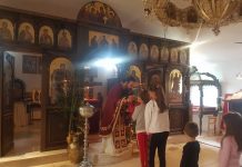 Празникот Цветници во манастирот Свети Прохор Пчински во Донибрук