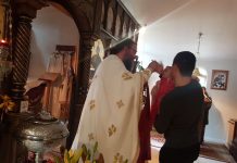 Света Литургија во манастирот Свети Прохор Пчински во Донибрук (21 Недела по Педесетница)