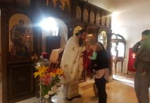 Света Литургија во манастирот Свети Прохор Пчински во Донибрук (22 Недела по Педесетница)