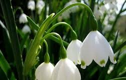 Стравот Божји е син на верата