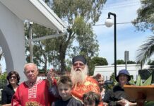 Водици во Спрингвеал