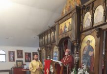 Сиропусна недела - Прочка во Донибрук