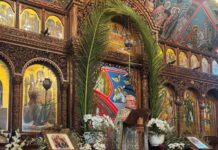 Цветници во Мил Парк