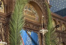 Цветници во Футскрај