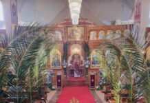 Цветници во Престон