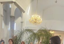 Цветници во Сиденхам