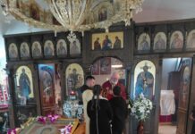 Света Недела и Свети Теофил Македонски прославени во Донибрук