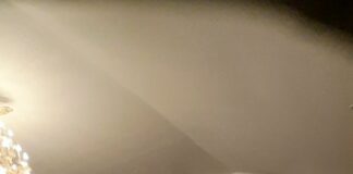 Свети Трифун – Донибрук