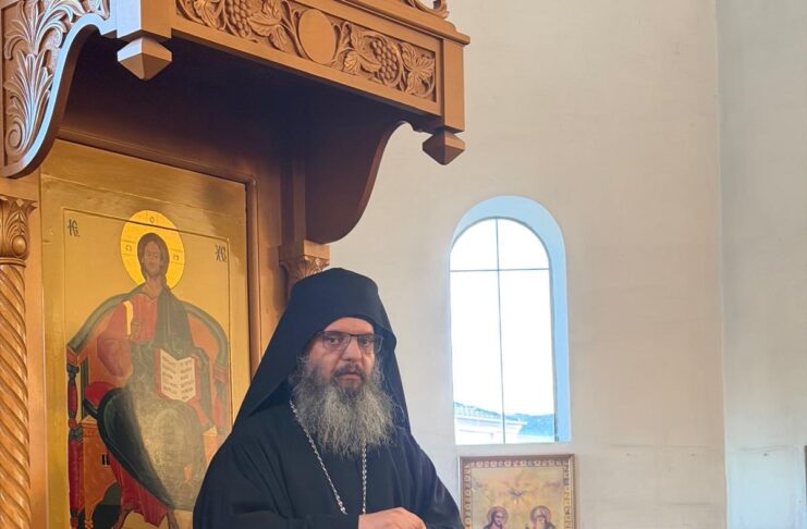 Архиерејска литургија на Цветници во Сиденхам